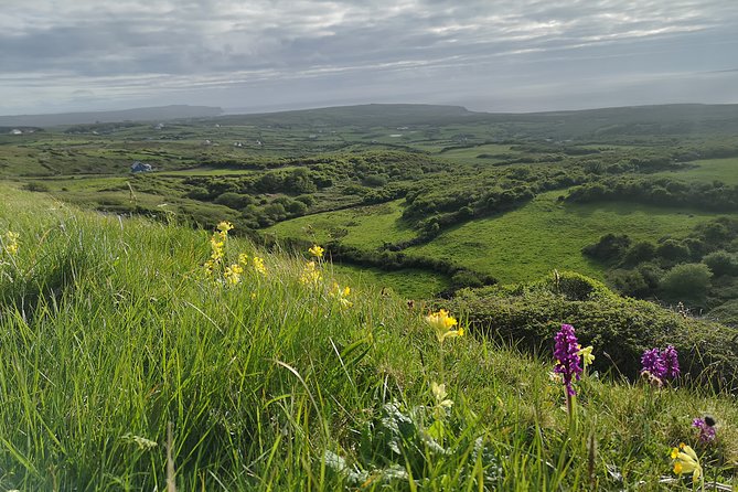The Burren and Cliffs of Moher Full Day Private Tour From Galway - Local Expertise