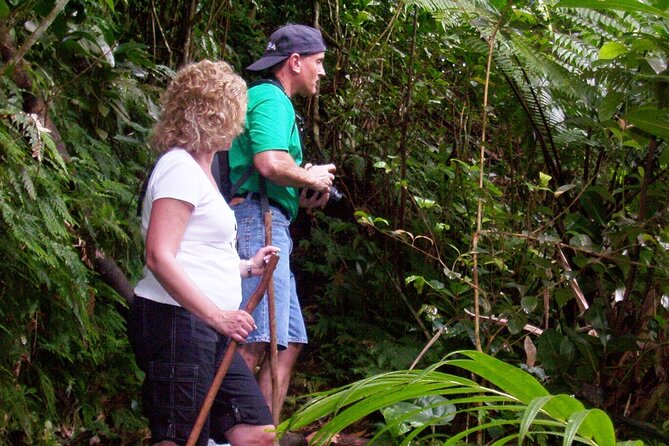 The Kittitian Rainforest Adventure (with Snacks) - Additional Information