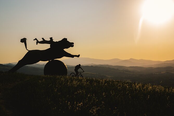 Tour in the Marche by Raffaello Sanzio: Art, Nature, Food and Wine - Logistics and Booking Information