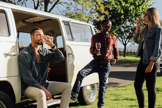 Traditional Wine & Braai (BBQ) Experience - Guest Reviews and Feedback