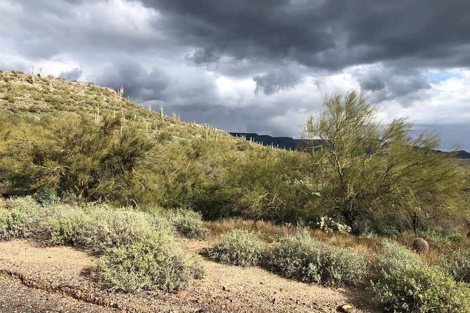 Trail Riding for the Individual or Group. Best Trail Rides Anywhere in Arizona. - Things To Known