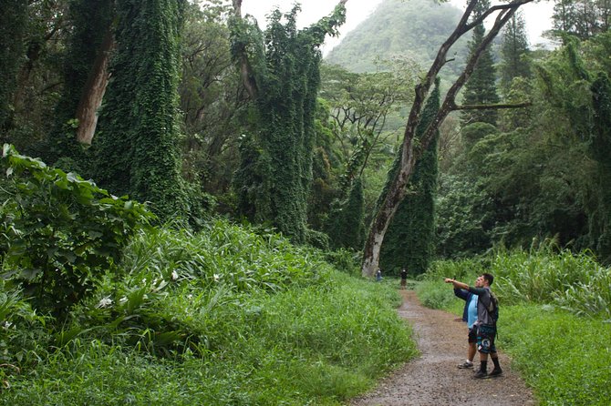 Tropical Adventure Package - Reviews and Ratings Overview