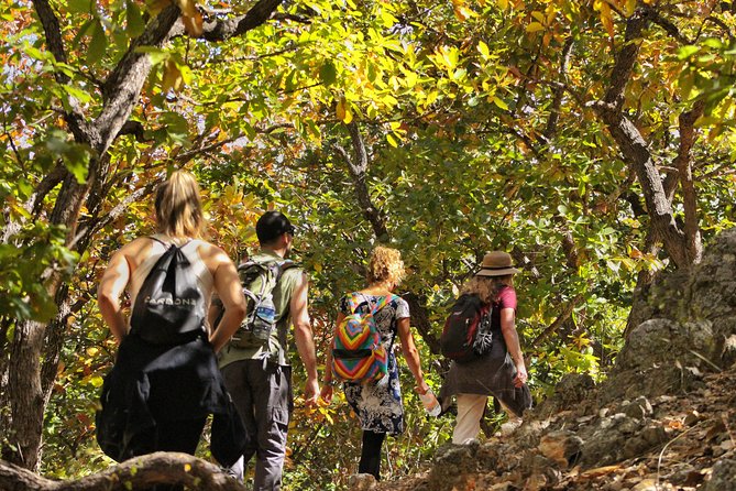 Ultimate Hierve El Agua Hike + Mezcal - Physical Requirements