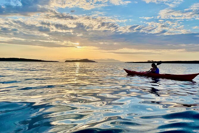Venetian Port Kayaking - Convenient Booking Options