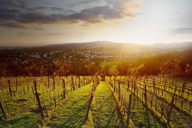 Vienna Wine Experience - Suitability