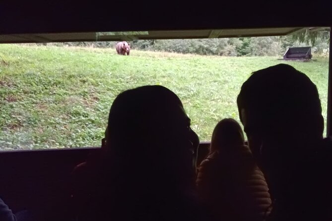 Watching Brown Bear Experience and Gulyas Taste From Brasov - Culinary Highlights and Local Cuisine