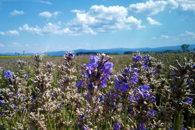 Weekend in Bulgaria Review: A Memorable Experience - Since You Asked