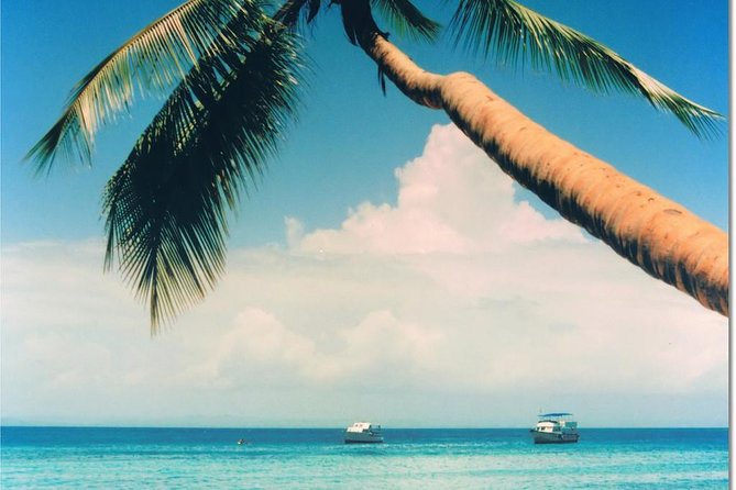 Whale Watching in Samana - Exploring Cayo Levantado