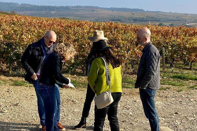 Wine Experience With Tasting in Burgundy - Satisfied Traveler Reviews