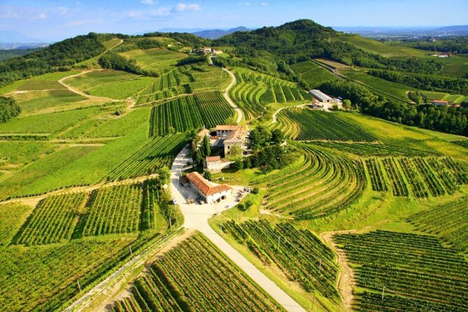 Wine Tasting in the Collio Wine Area, Guided Tour of Cividale. - Booking and Cancellation Policy