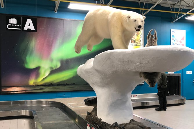Yellowknife City Tour + Natures North Wildlife Gallery - Pricing and Payment Options
