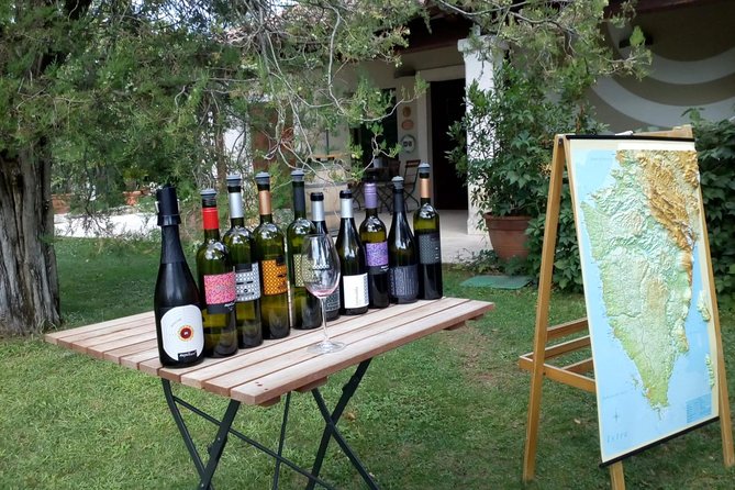 A Sample Of Wine, A Sample Of Istria - A Short But Fulfilled Program - Key Points