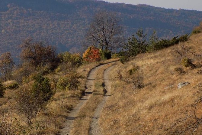 A Walking Over the Jurassic Sea: One Day Trip From Sofia - Explore the Jurassic Landscape