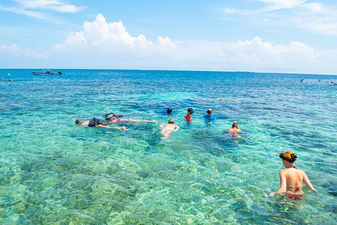 A Whole Day to the 5 Rosario Islands With Snorkeling and Plankton - Tour Overview