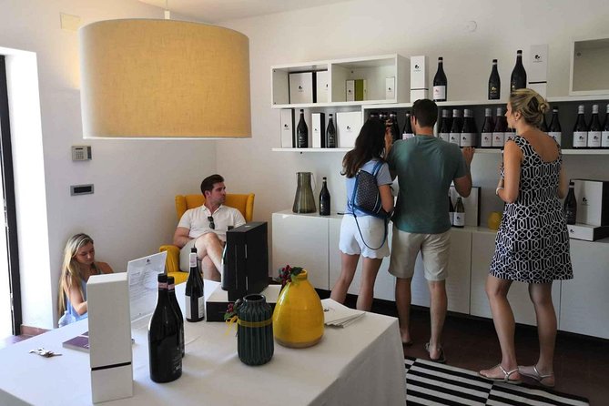 Abruzzo Wine Tasting & Winery Visit - Overview of the Experience