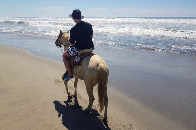 Acapulco Boat Ride With Horseback Ride, Lunch, and Crocs Farm - Good To Know
