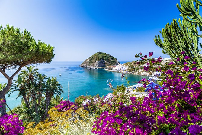 Afternoon Tour of the Island of Ischia by Bus - Good To Know