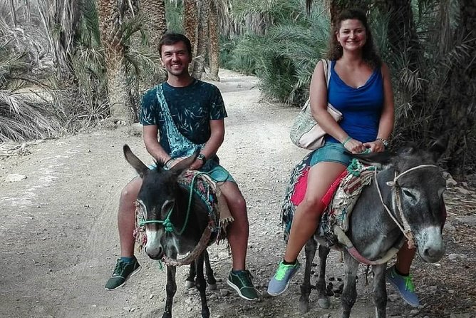 Agadir Morocco: Day Trip to Taroudant & Tiout Oasis With Lunch - Good To Know