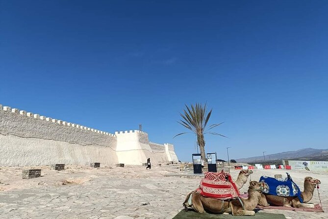 Agadir Private City Tour & Visit of Medina Polizzi - Good To Know