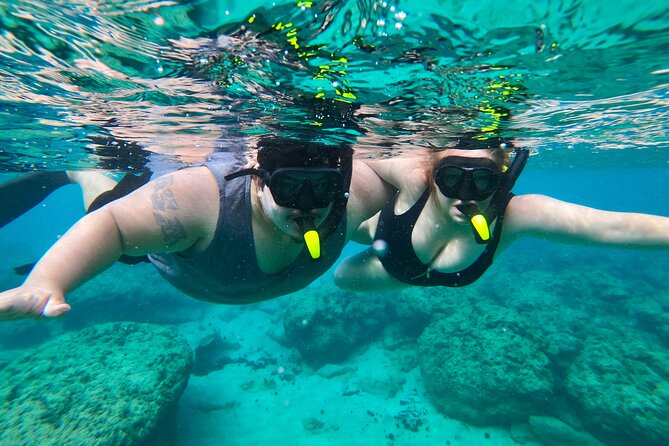 Aguadilla Tropical Snorkeling - Guided by a Marine Biologist
