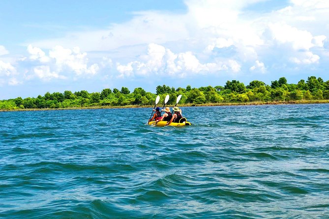 Albania Birdwatching, Kayaking, Bicycle National Park Divjaka Karavasta(ARG) - Good To Know