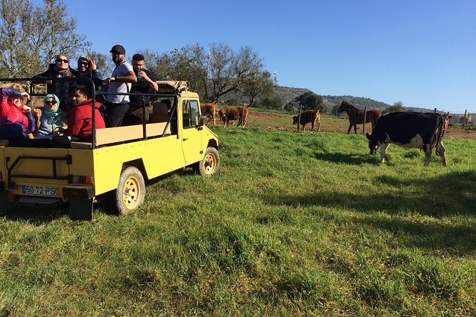 Algarve Jeep Safari - Half Day Trip Morning - Good To Know