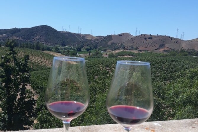 Algarve Wine Tour and Farmers Lunch at Wine Estate - Overview of the Tour