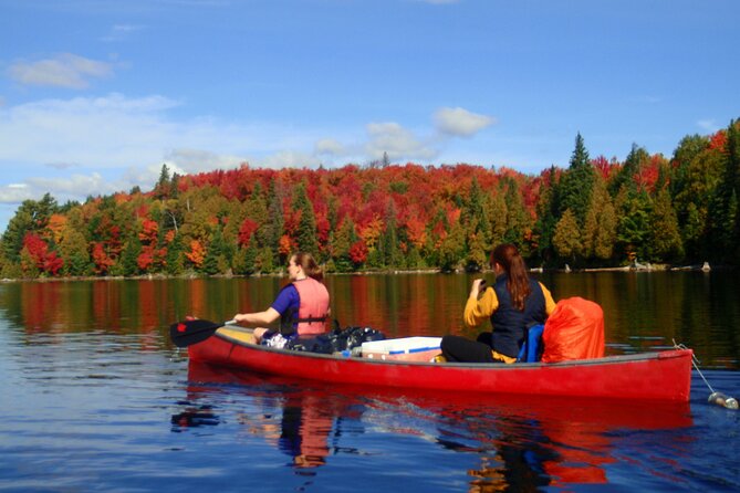 Algonquin Park 4-Day Luxury Moose/Beaver/Turtle Camping & Canoeing Adventure - Good To Know