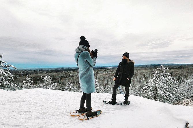 Algonquin Park Winter Adventure - Good To Know