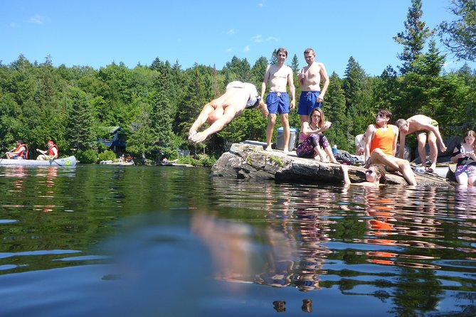 Algonquin Provincial Park Day Tour From Toronto - Good To Know