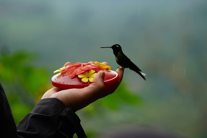All Inclusive Multi Day Tour in Andes - About Your Stay