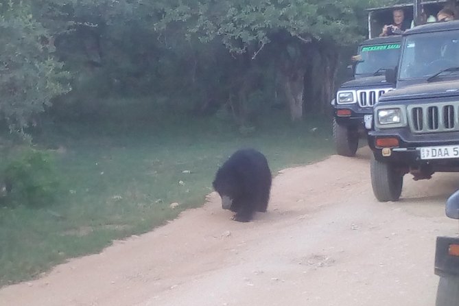 All Inclusive Private Jeep Safari at Yala National Park - Good To Know