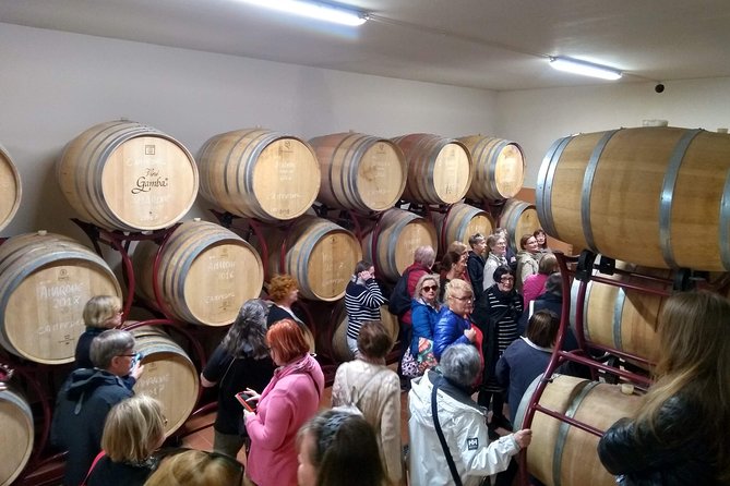 Amarone Wine Tasting in Valpolicella | 4 Wines + Snacks - Event Overview