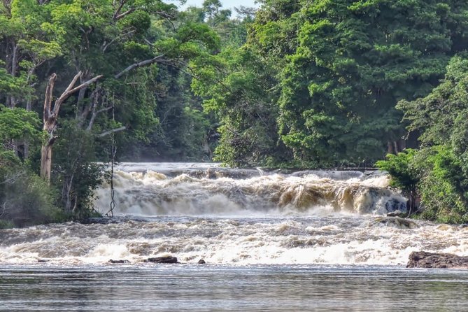 Amazon Arapiuns River Aruã Waterfall Tour - Good To Know