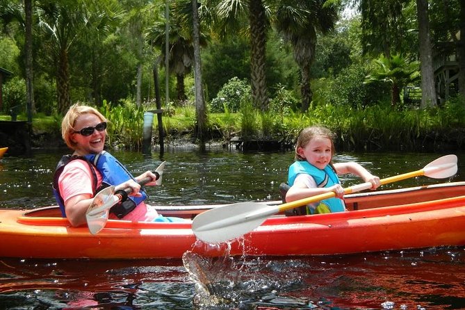 Amelia Island Area Kayak Rental on Lofton Creek With Adventures up the Creek - Good To Know