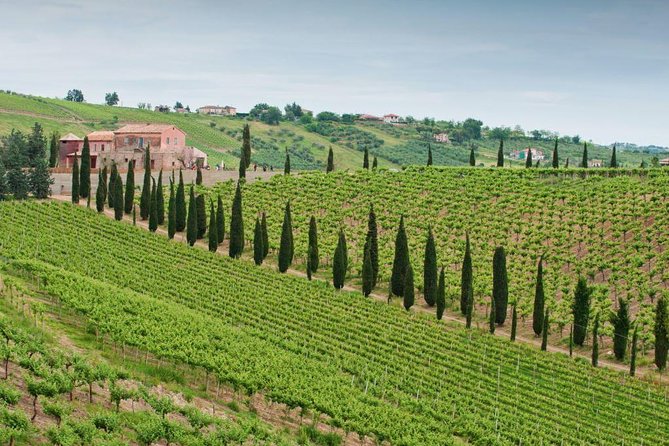 Among Ancient Sunny Vineyards, Visit and Taste the Wines From the San Lorenzo Cellar - Good To Know