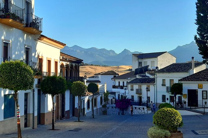 Andalucia by Sunset - Half Day Tour Including Dinner and Ronda Pickup - Overview of the Tour