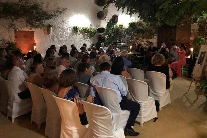 Andalucia Flamenco Evening Performance With Tapas  - Faro - Overview of the Flamenco Experience