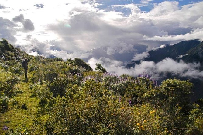 Anis Routes - About Your Stay