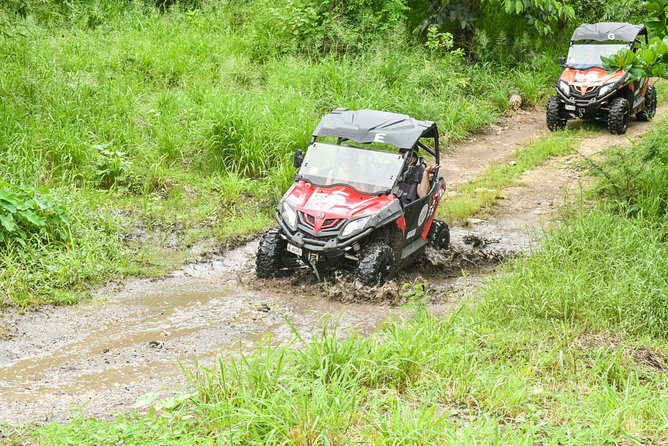 Antigua Buggy Explorer Tour From St. Johns - Good To Know