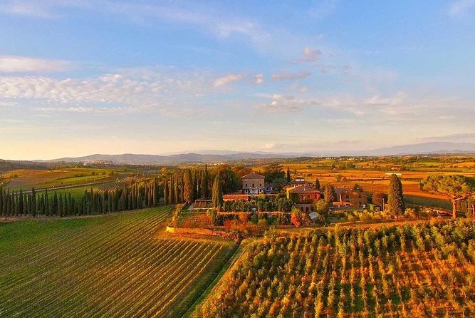 Arezzo: Wine Tasting Experience in Valdichiana Area - Good To Know
