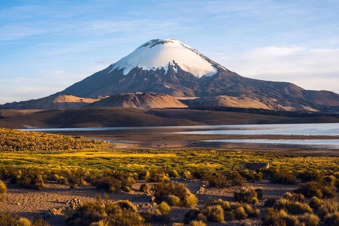 Arica: Full Day to Lauca National Park and Chungara Lake, Meals Included - Good To Know