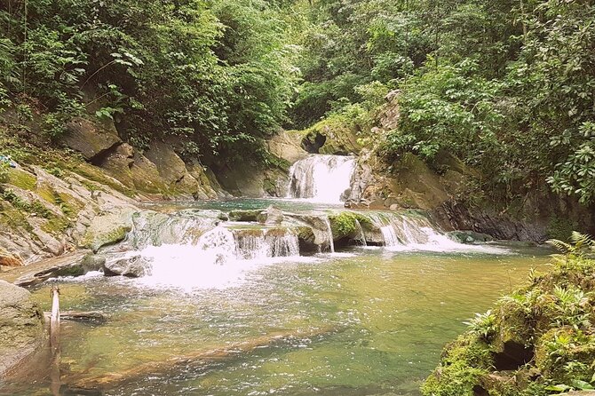 Aripo Waterfall Adventure - Good To Know
