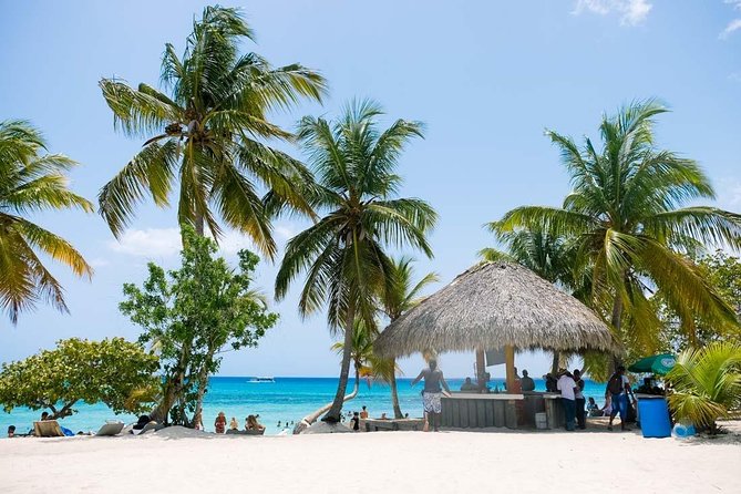 ATV Adventure to Macao Beach, Cenote, and Countryside Plantations - Inclusions