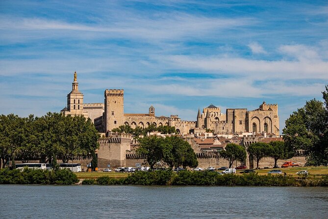 Avignon Private Walking Tour With A Professional Guide - Good To Know