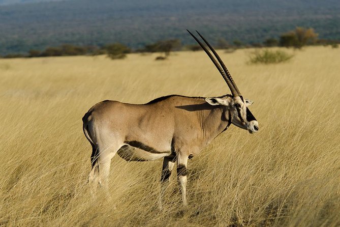 Awash National Park Tours - Good To Know