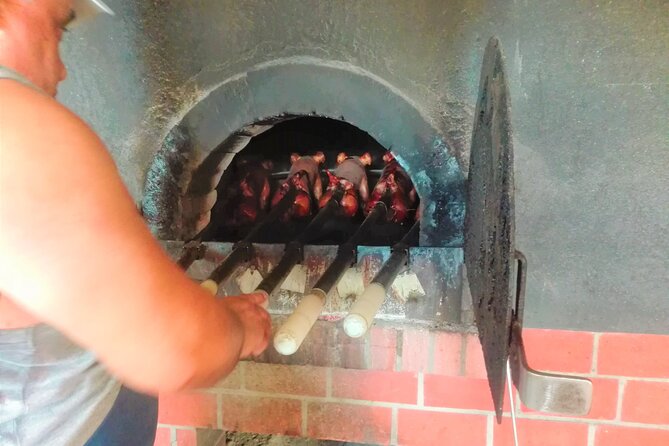 Bairrada Winery Route Experience, Full-Day From Coimbra - Good To Know