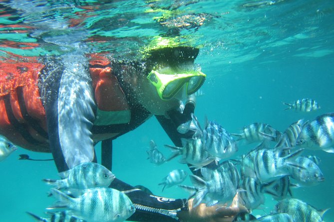 Bali : Snorkeling Tour at Blue Lagoon Padangbai - Good To Know