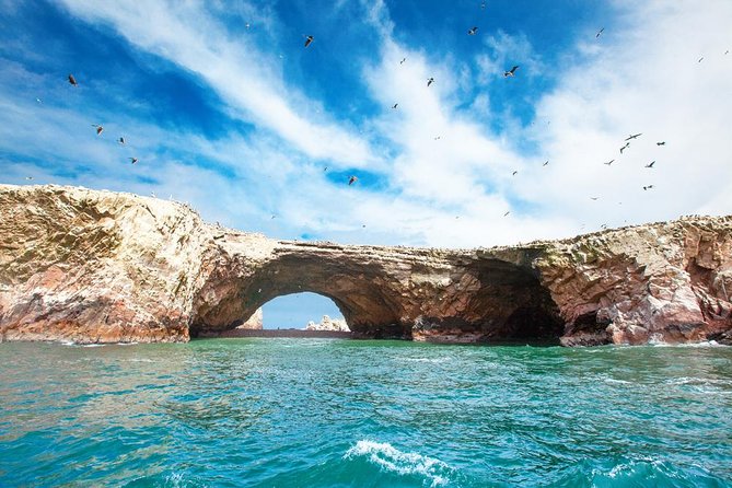 Ballestas and Paracas From Lima by Bus - Good To Know