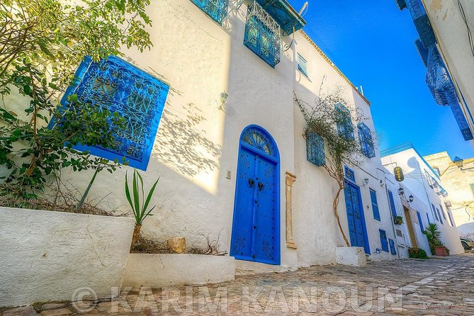 Bardo Museum- the Ruins of Carthage- Village of Sidi Bou Said - Highlights of Bardo Museum